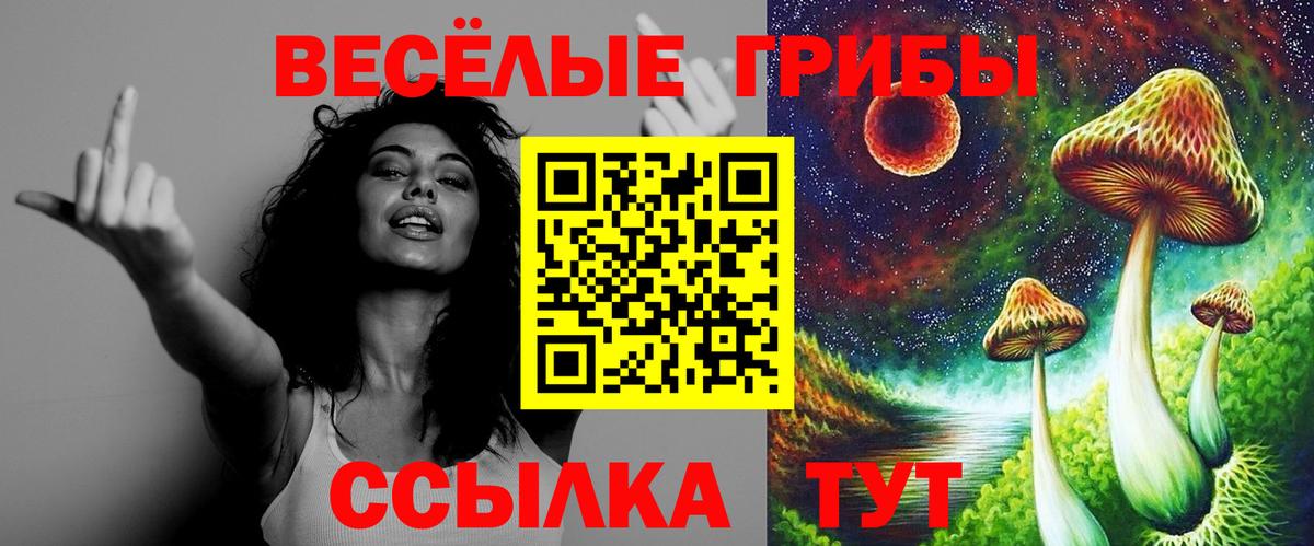Галлюциногенные грибы Magic Shrooms  как найти закладки  Южноуральск  Псилоцибиновые грибы Cubensis  Вход с VPN 